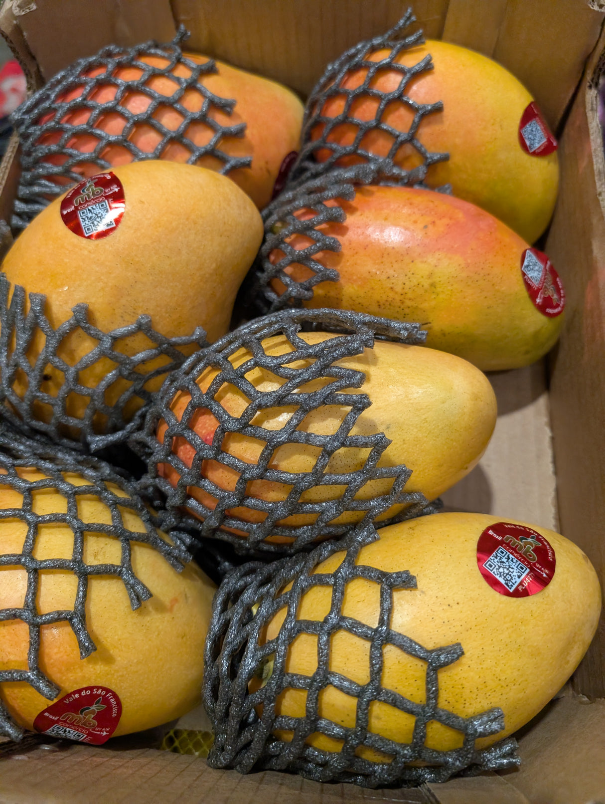 Mangue PALMER - Caisse complète