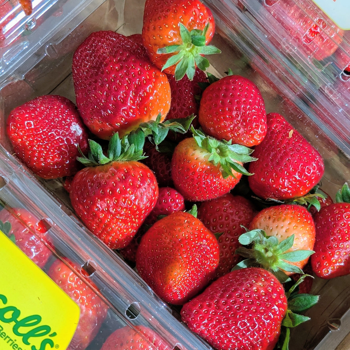 Fraises Grosses de serre - 340g