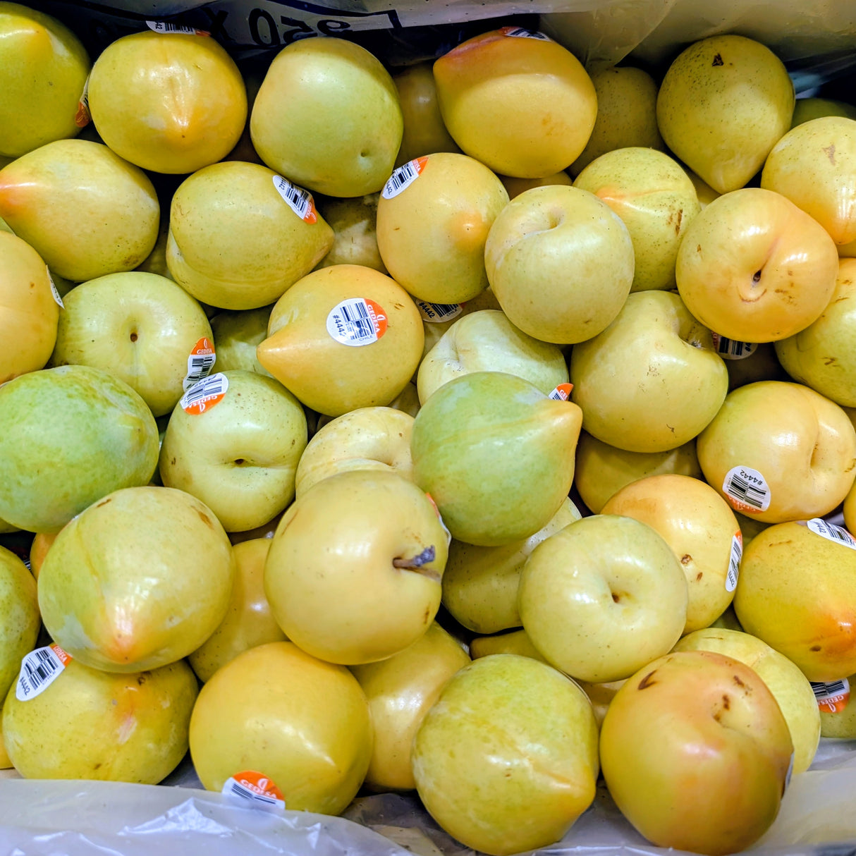 Prunes jaunes