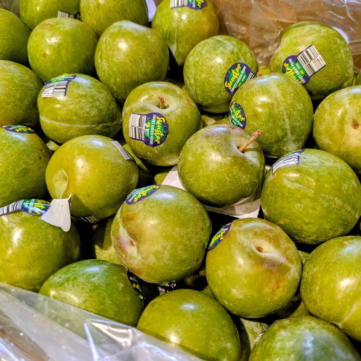 Prunes vertes Croquantes & Sucrées - Turtle Egg