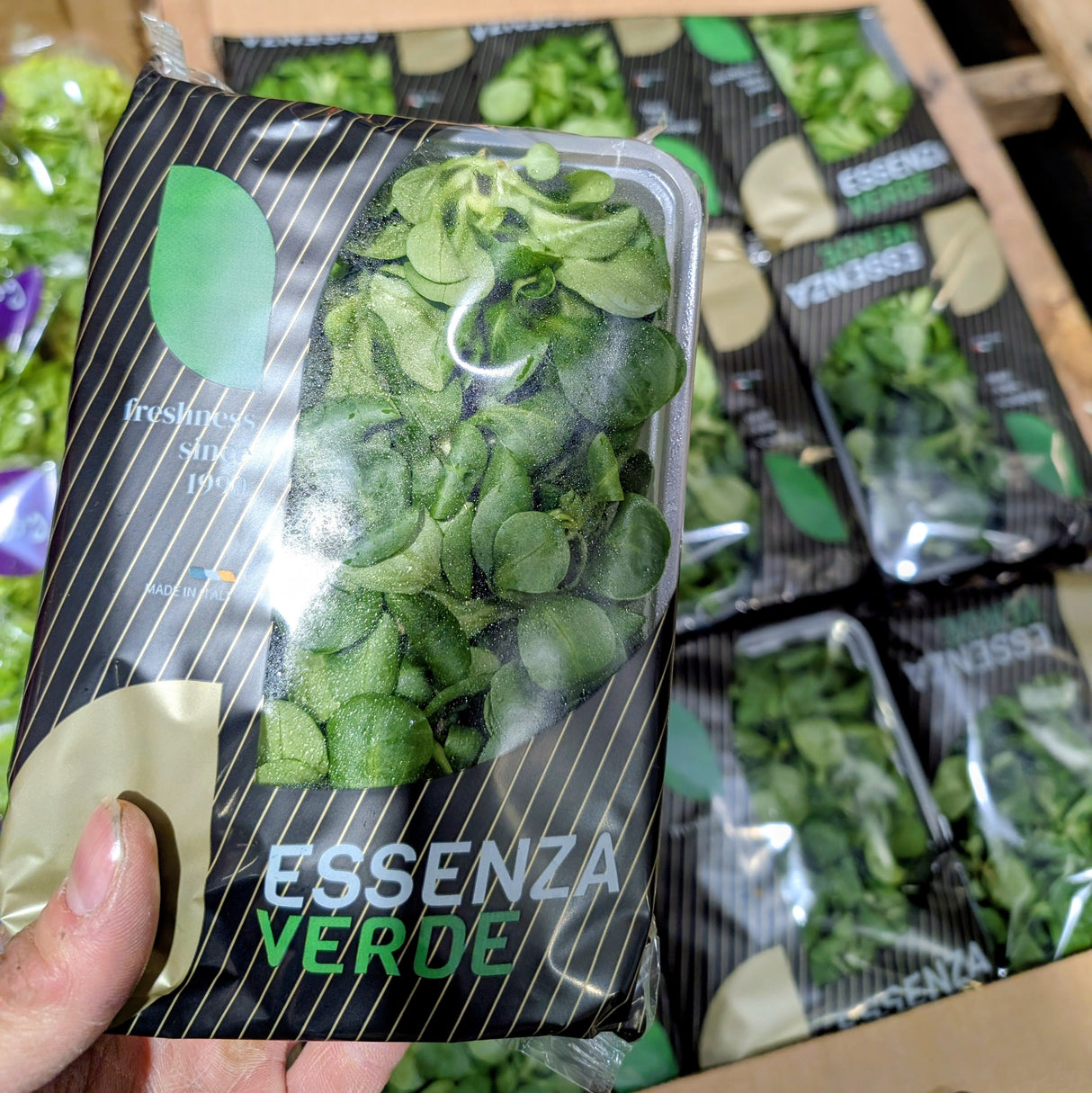 Laitue mâche 125g