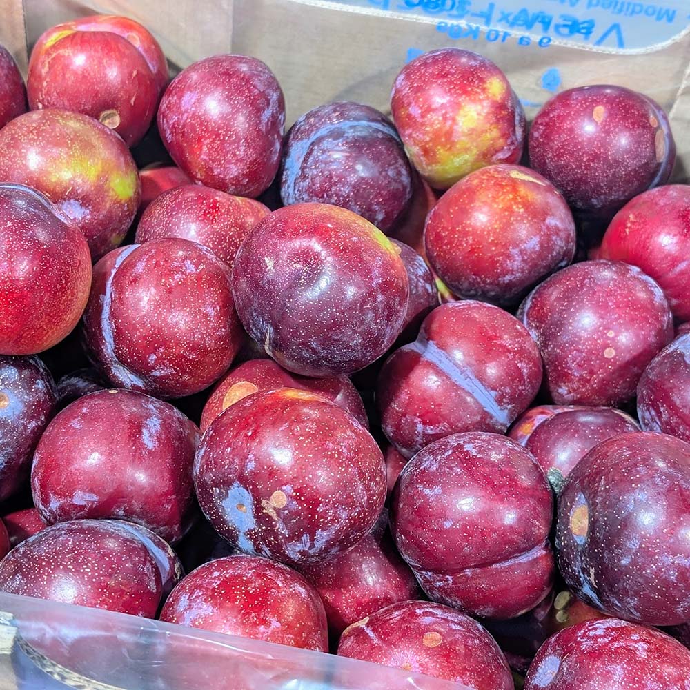 Prune rouge - Chopine 6