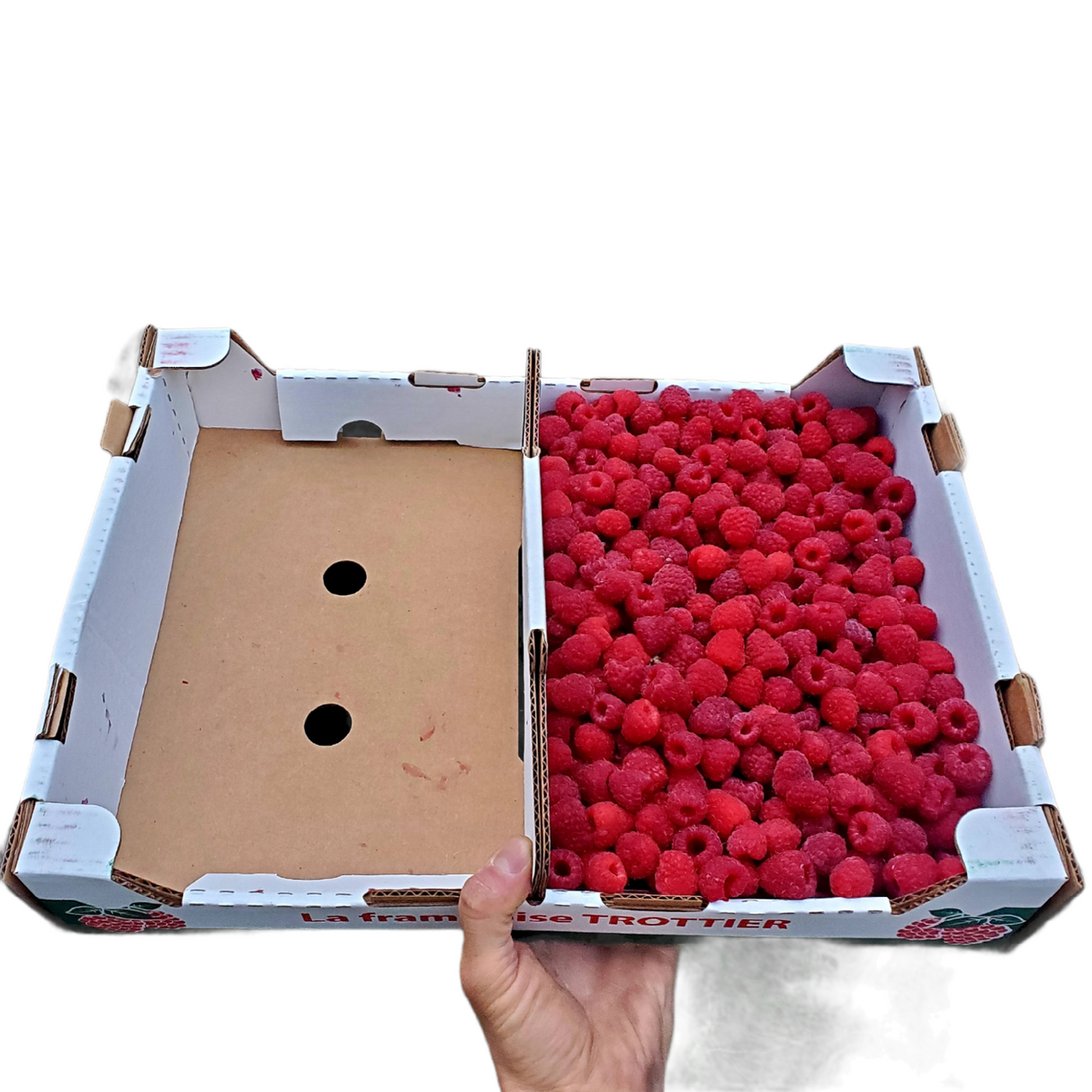 Framboises - ½ CRATE