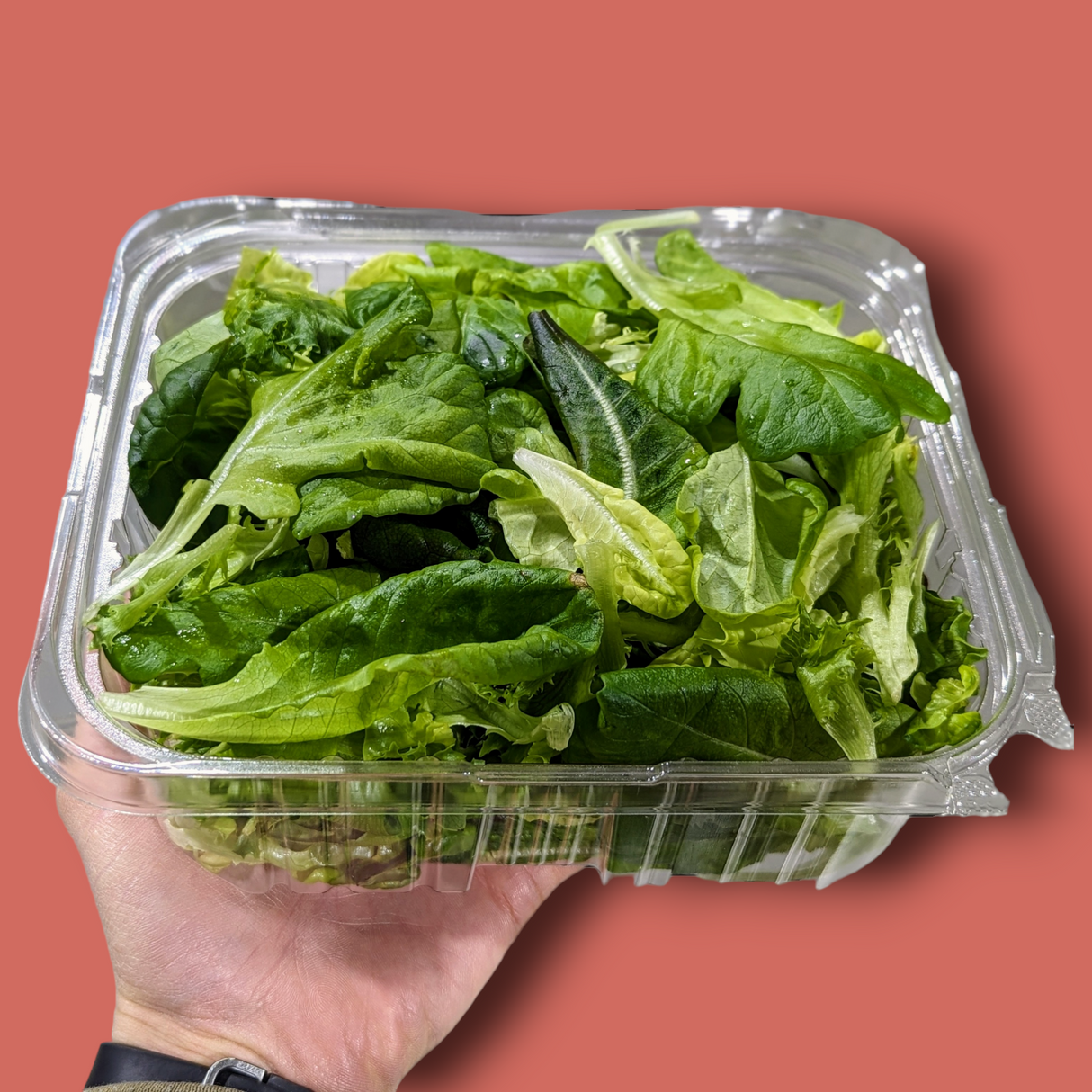 Mesclun québécois BIO - 170g