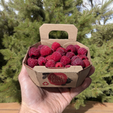 Framboises du Québec - Chopine
