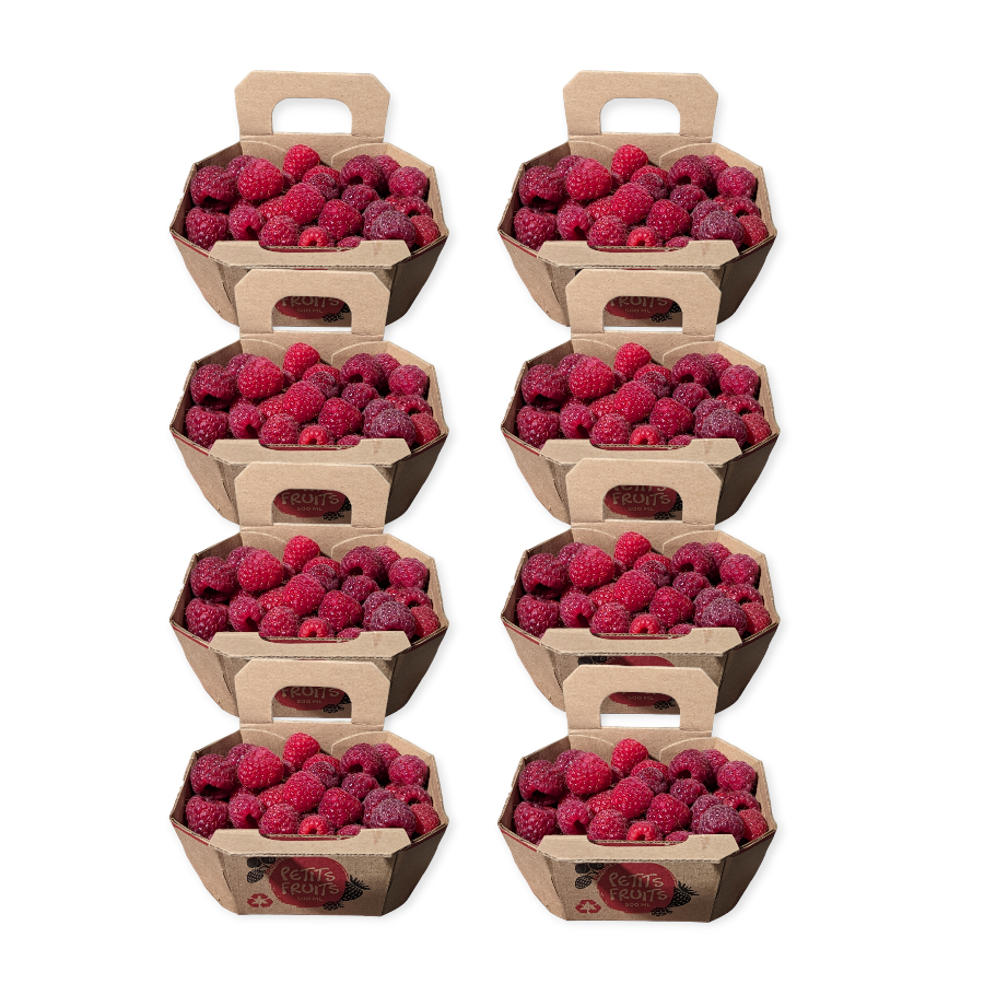 Framboises sous tunnel - Panier