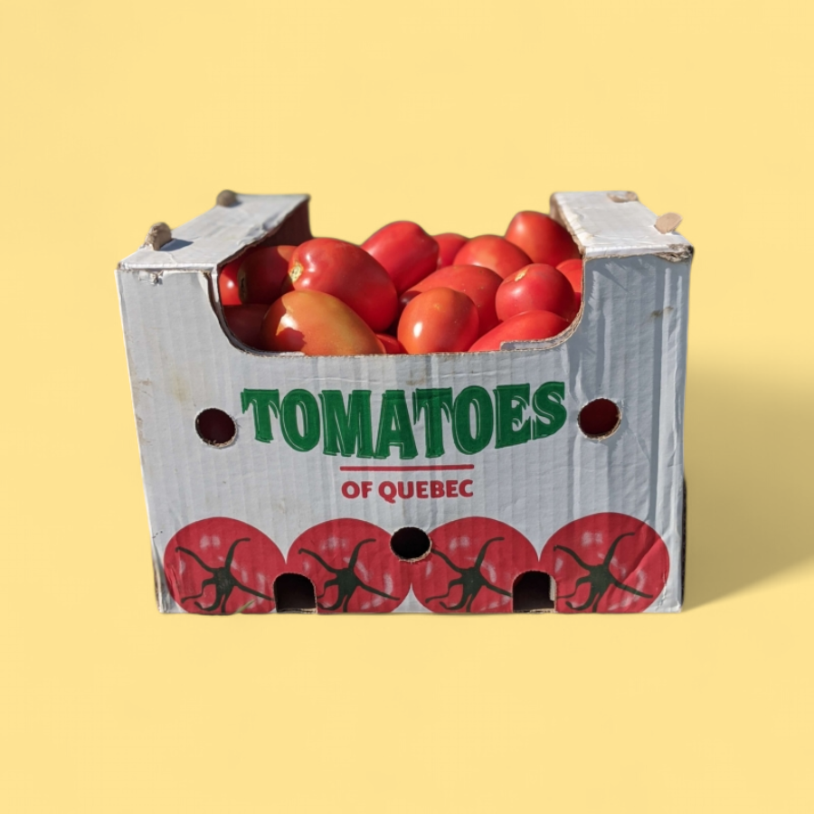Tomates ITALIENNES - Caisse 25lb