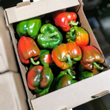 Poivron rouge - Sac 5lb
