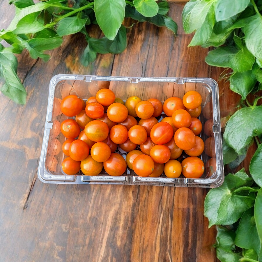 Tomates cerises oranges - 284g (2)