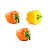 Poivron COULEUR - TRIO (3)
