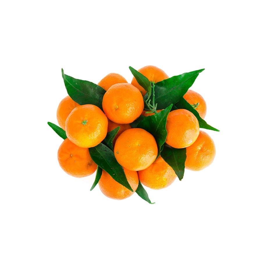 Clémentines Grosses avec feuilles