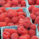 Framboises QUÉBEC - Chopine