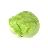 Laitue iceberg Petite