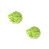 Laitue iceberg Petite