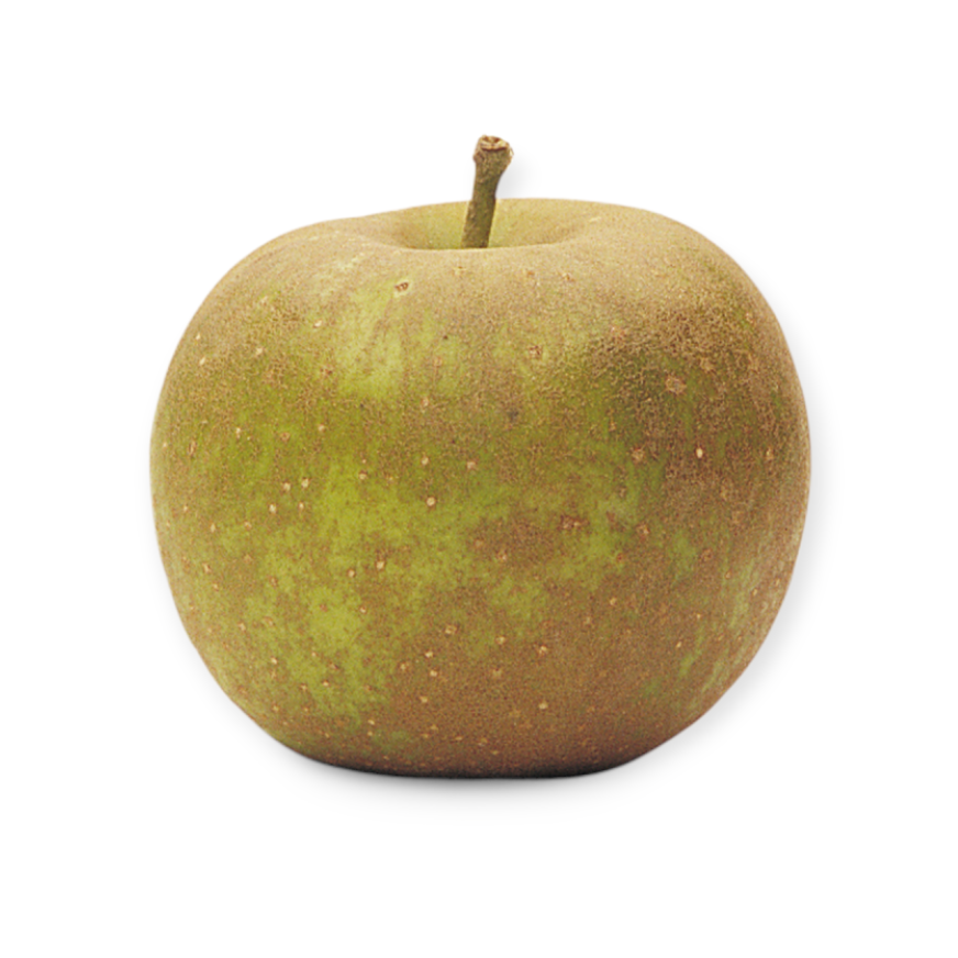 Pommes Golden Russet