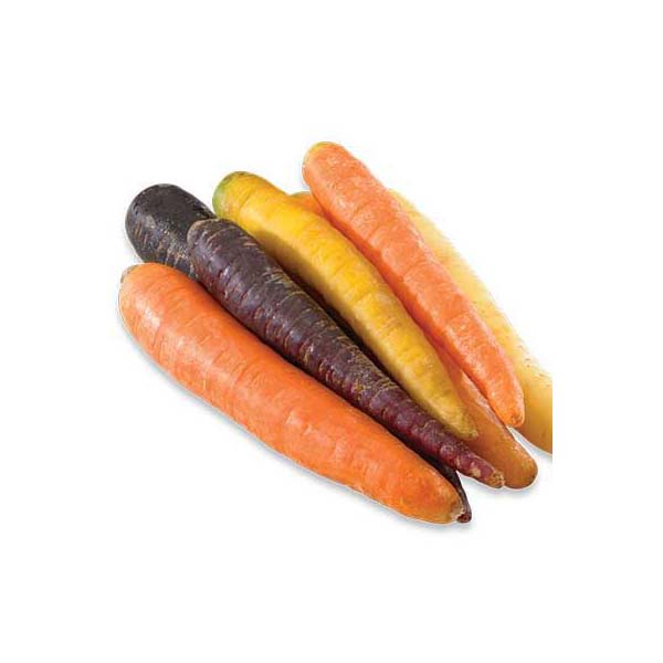Carottes sucrées COULEUR - 5lb