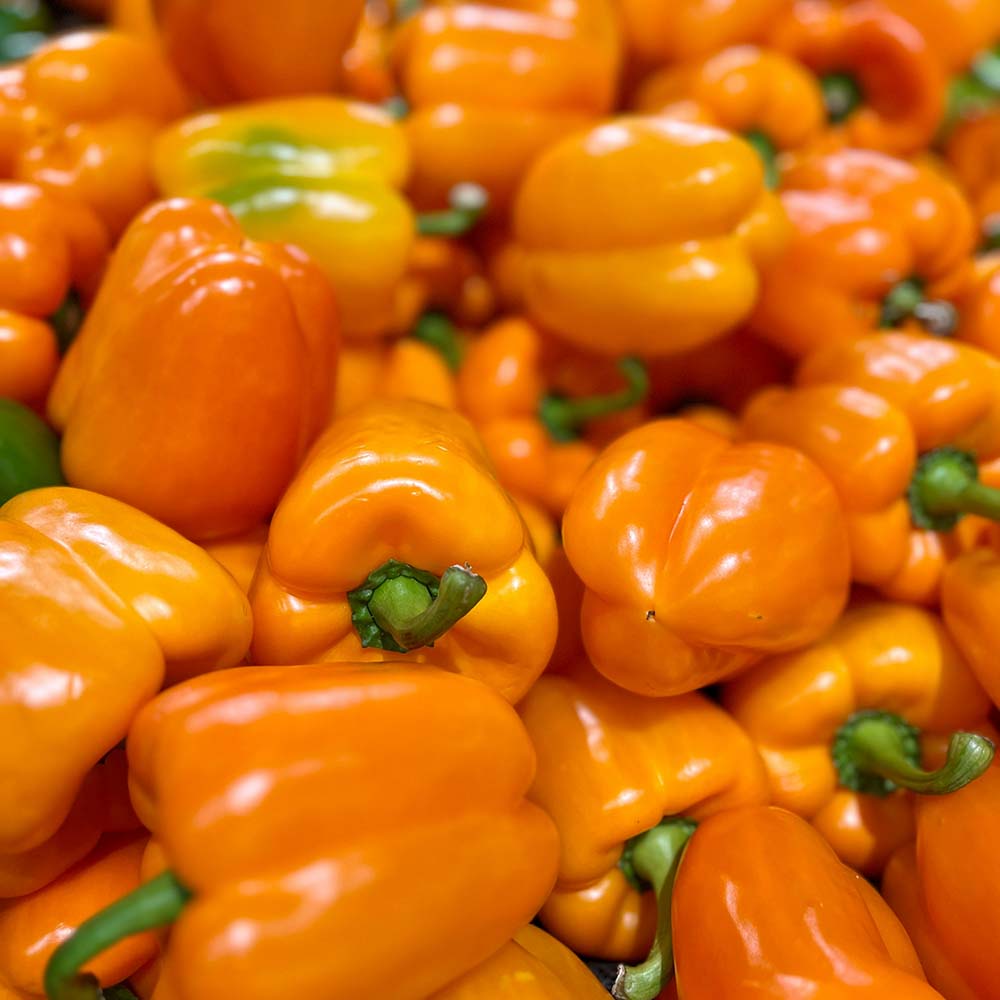 Poivron Orange - Caisse 11lb (env 20un)