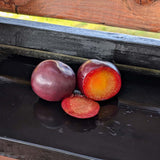 Prunes-Cerises - Sac