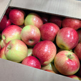 Pomme ROSINETTE
