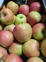 Pomme ROSINETTE