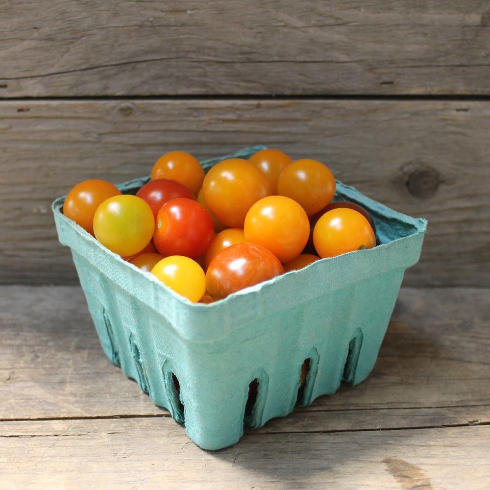 Tomates cerises JAUNES (tigrées) -  284g