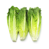 Laitue coeurs romaine