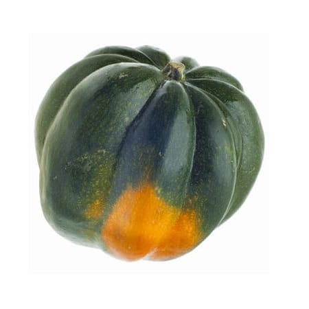 Courge poivrée Moyenne