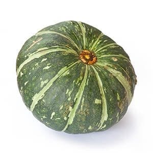 Courge Buttercup Moyenne