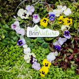 Micro pousses - Mix d'la semaine - 200g