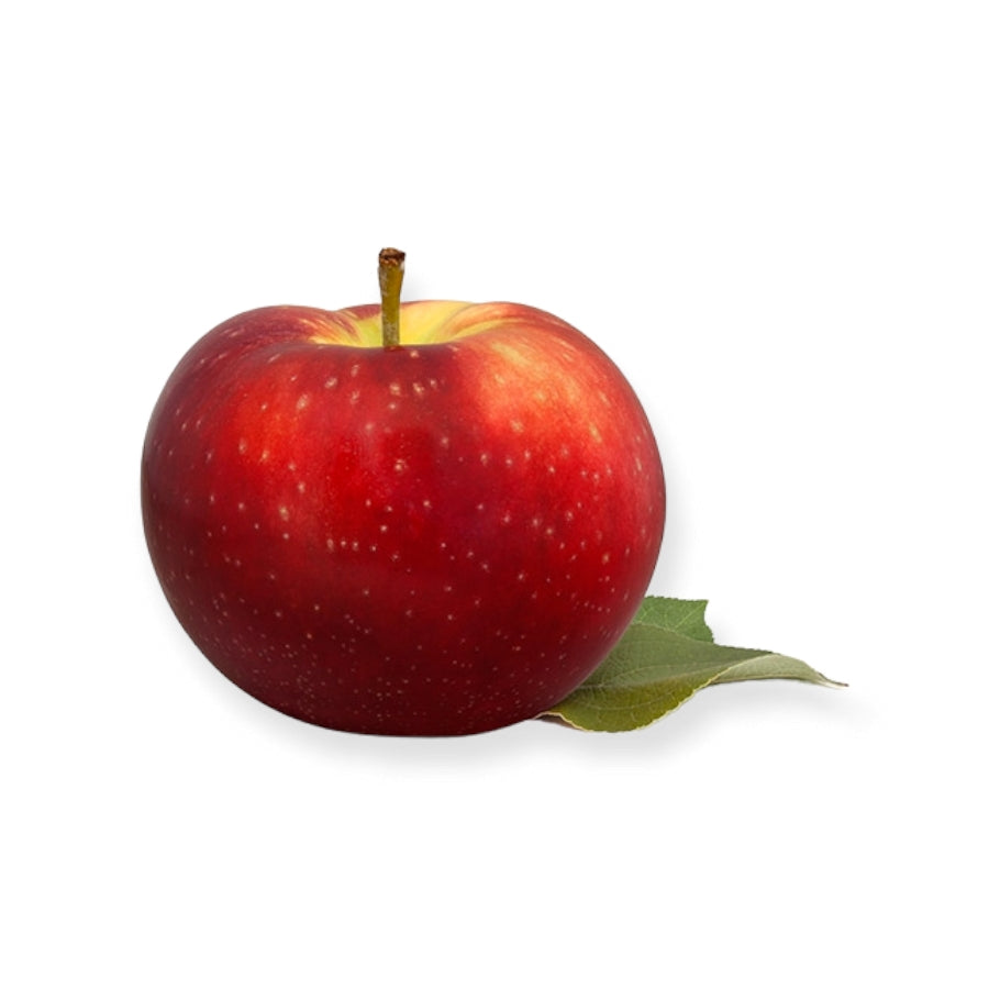 Pomme SPARTAN