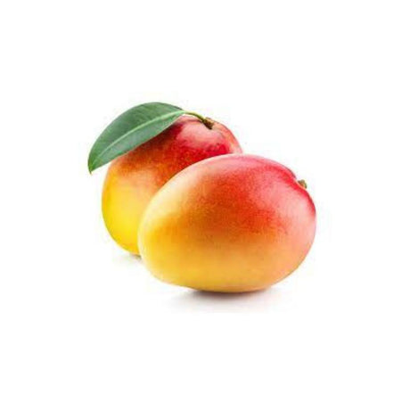 Mangue MAYA - Moyenne