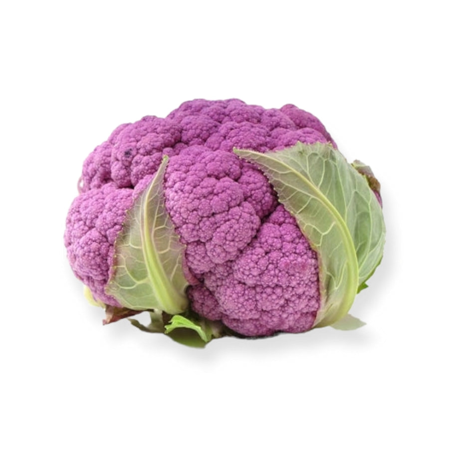 Chou-fleur Gros - Mauve