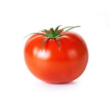 Tomate rouge BRILLANTE - Petite