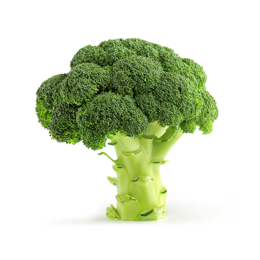 Brocoli BIO