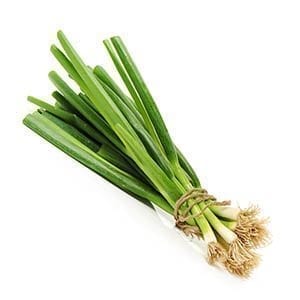 Oignons verts - AUBAINE