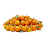 Tomates cerises oranges - 284g