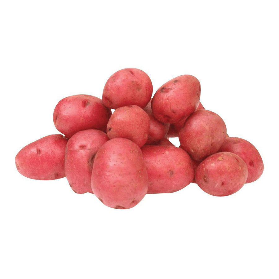 Patates rouges - 5lb